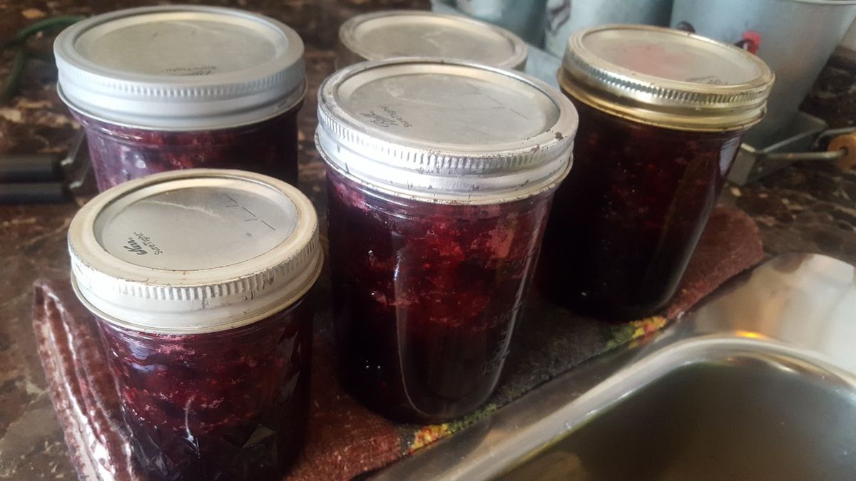 How To Make Wild Fruit Jam 