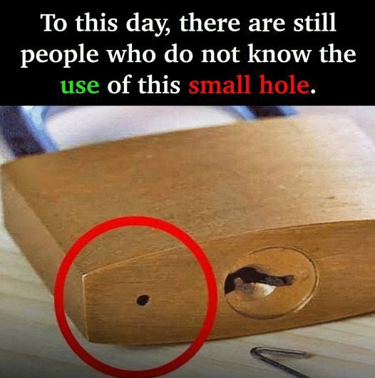 The Mystery of the Small Hole: What Is It For?