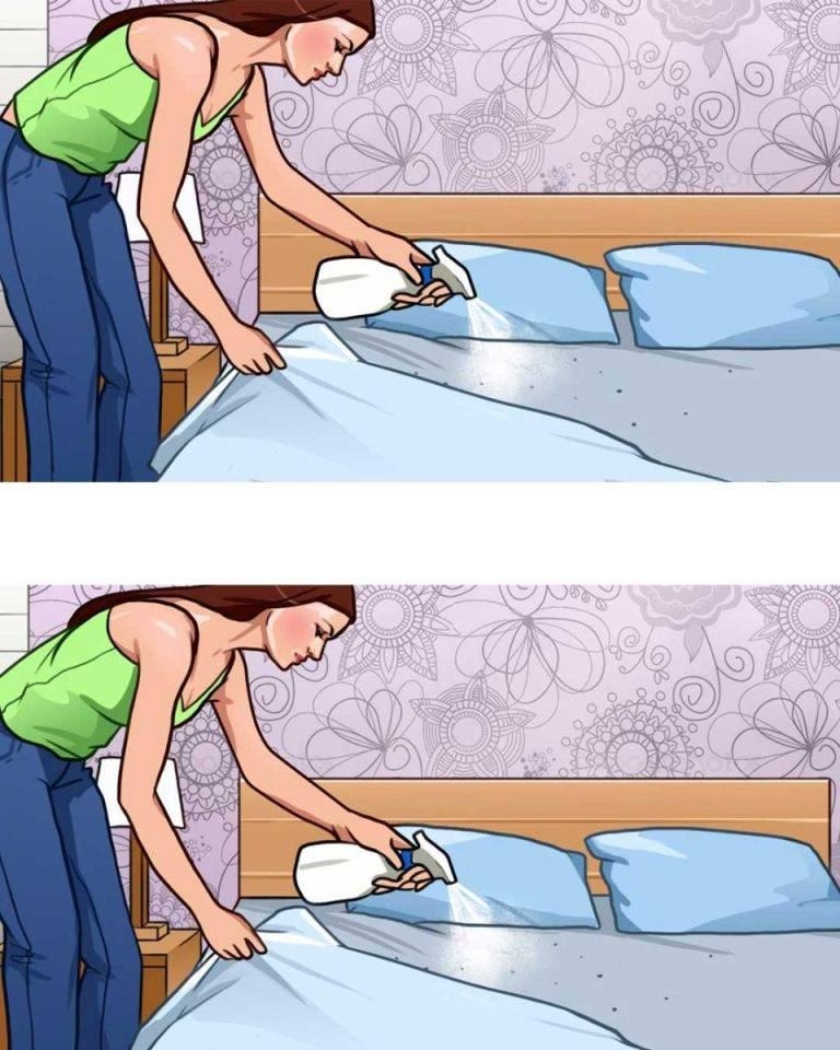 When it gets hot, I always use this trick to get rid of bed bugs, fleas, and moths.