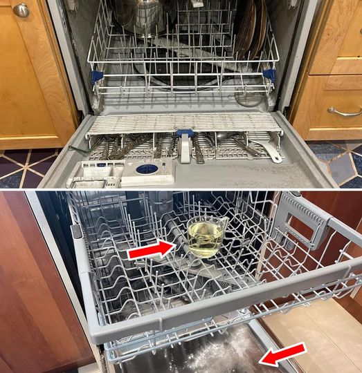 Degrease Your Dishwasher with the Simple Trick of the Glass: A Fast and Effective Solution