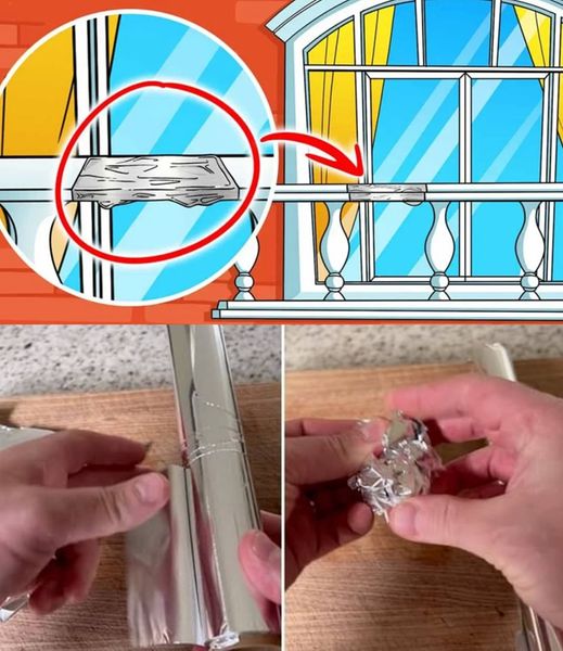 Put aluminum foil on the balcony – you will definitely get rid of this problem