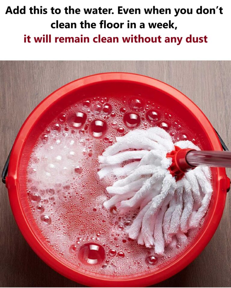 Add This to the Water: Even When You Don’t Clean the Floor for a Week