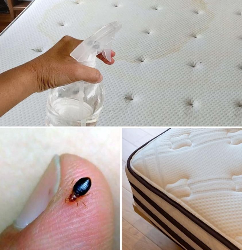 Making Your Own Spray to Clean Your Mattress: A DIY Guide for a Fresh, Healthy Bed