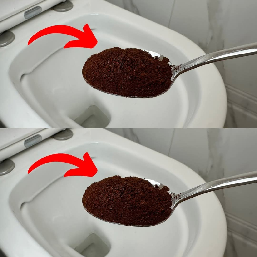 Sing Coffee Grounds in the Toilet: An Unexpected Household Hack