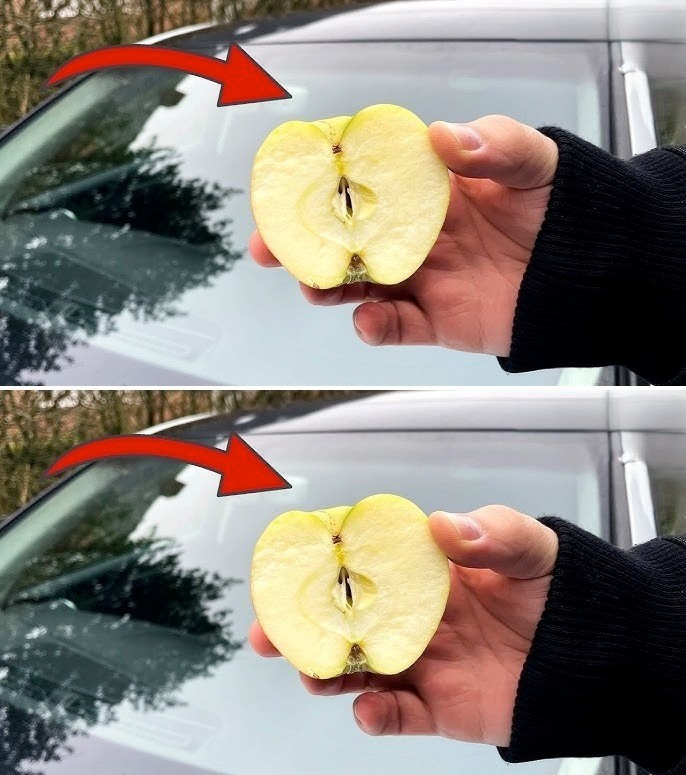 Ingenious Trick: Why You Should Rub an Apple on Your Car’s Windshield