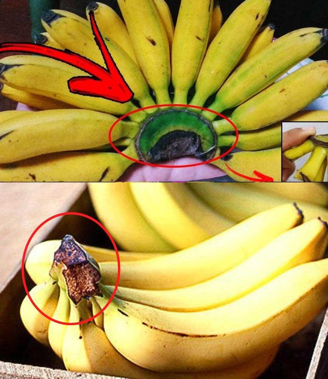 Never throw away this part of the banana: here’s why it’s popular at home