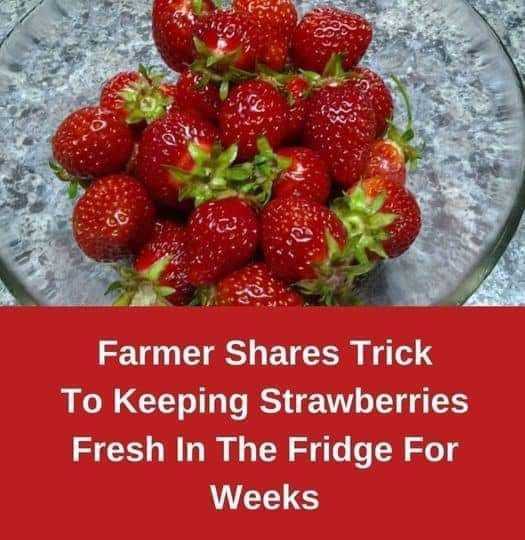 How To Keep Your Strawberries Fresh for Longer