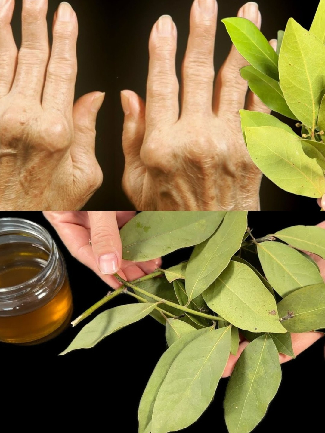 The Surprising Benefits of Applying Bay Leaves to Your Joints