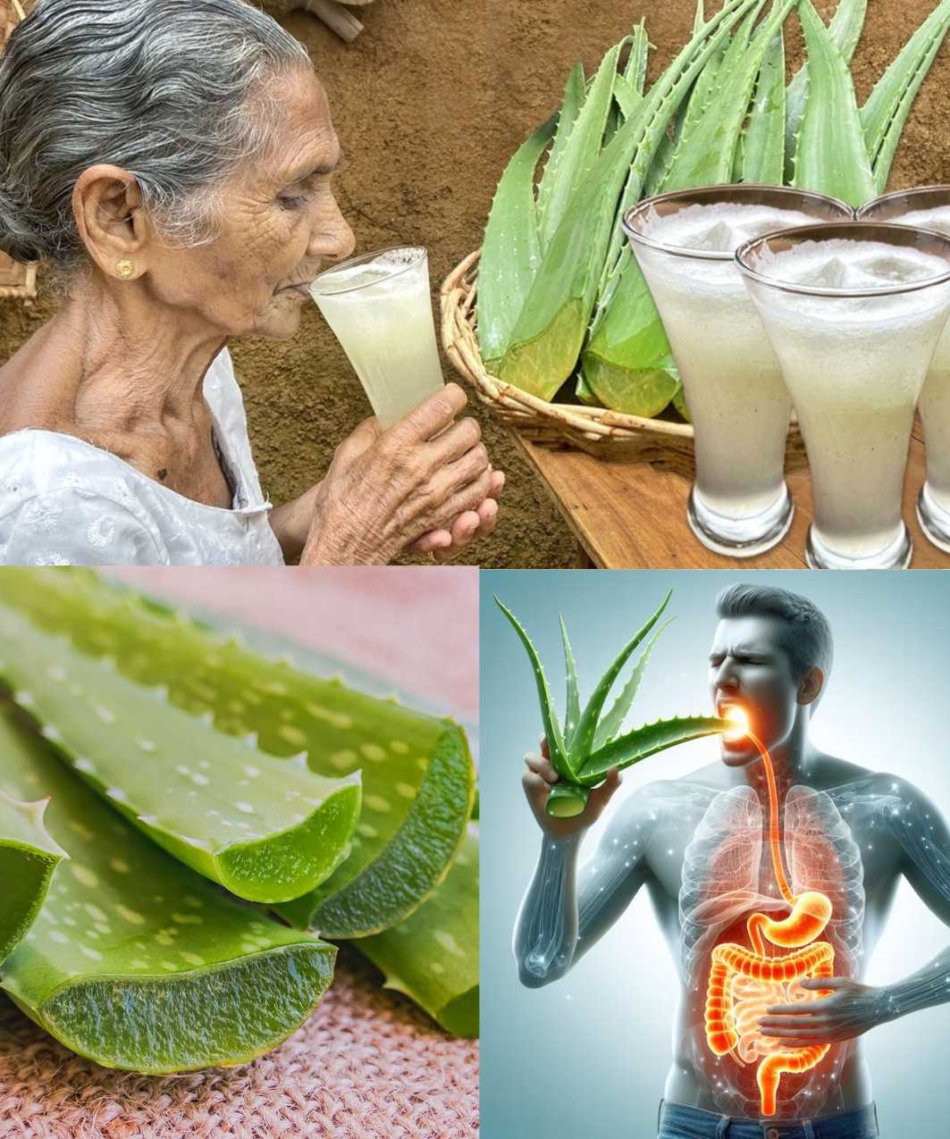 11 Reasons to Drink Aloe Vera Water Every Day + How to Make It?