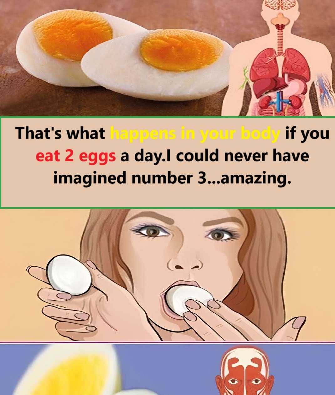 What happens to your body if you eat two eggs a day?