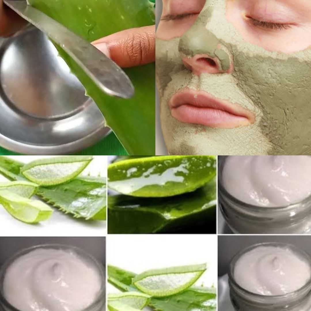 Aloe Vera Cream for Face, Skin & Hair: Made with Just Two Ingredients!